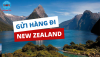 Exploring New Zealand YouTube Thumbnail (1).png